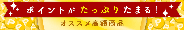 ポイントキャンペーン中の購入がお得な高額商品！